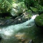 Virginia Creeper Trail Creek